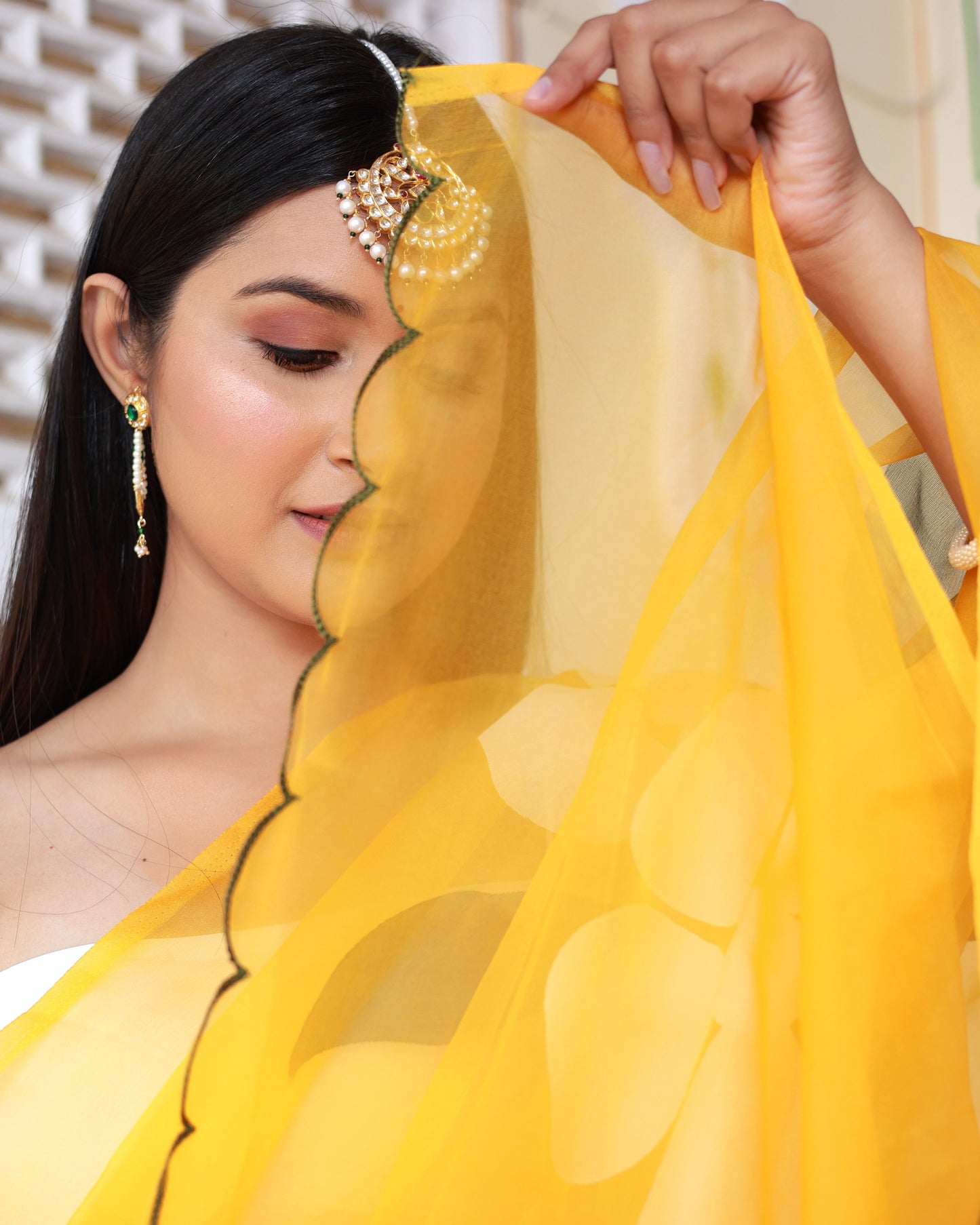 SUREELI HAND PAINTED SAREE