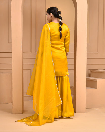 GOLD DUST SATIN SILK SHARARA SET