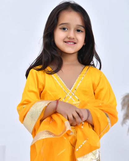 Gota Embellished Anarkali & Dupatta Set