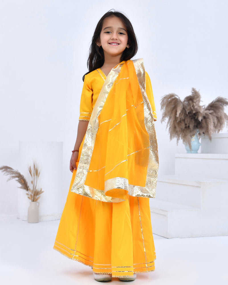 Gota Embellished Anarkali & Dupatta Set