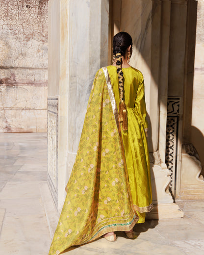 Olive Yellow Uppada Silk Kurta Set With Printed Chanderi Dupatta