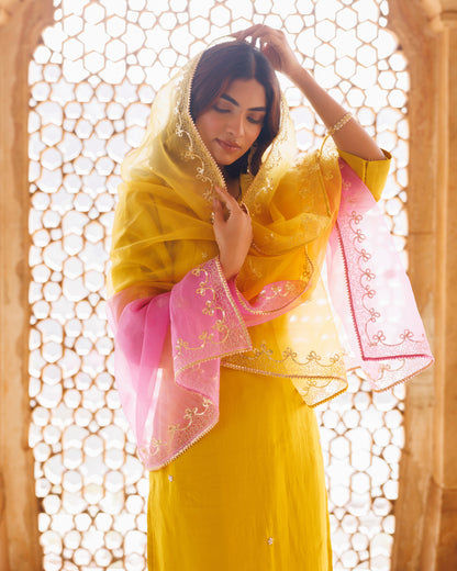Yellow, Hand Embroidered Kurta Set With Dual Shaded Dupatta.