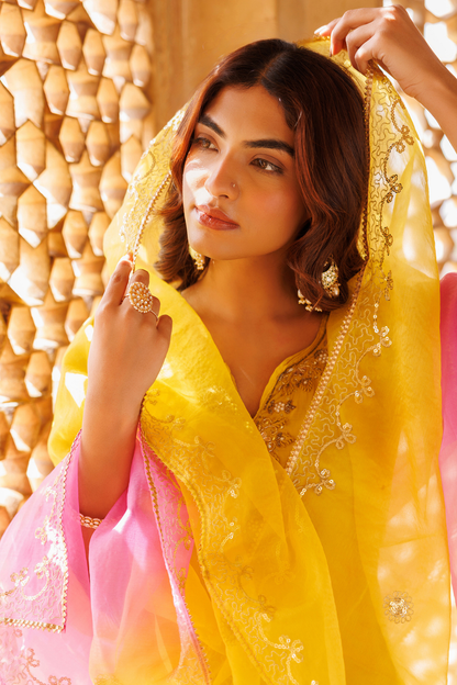 Yellow, Hand Embroidered Kurta Set With Dual Shaded Dupatta.