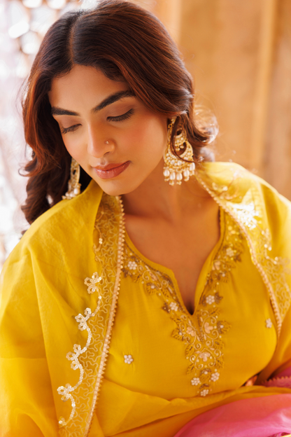 Yellow, Hand Embroidered Kurta Set With Dual Shaded Dupatta.