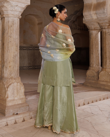 Pastel green silk, embroidered sharara set with seekhiya gota dupatta