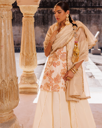 Ivory, printed crepe embroidered skirt set