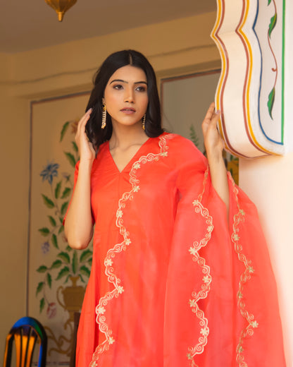 HARINI AARI EMBROIDERED ANARKALI SUIT SET