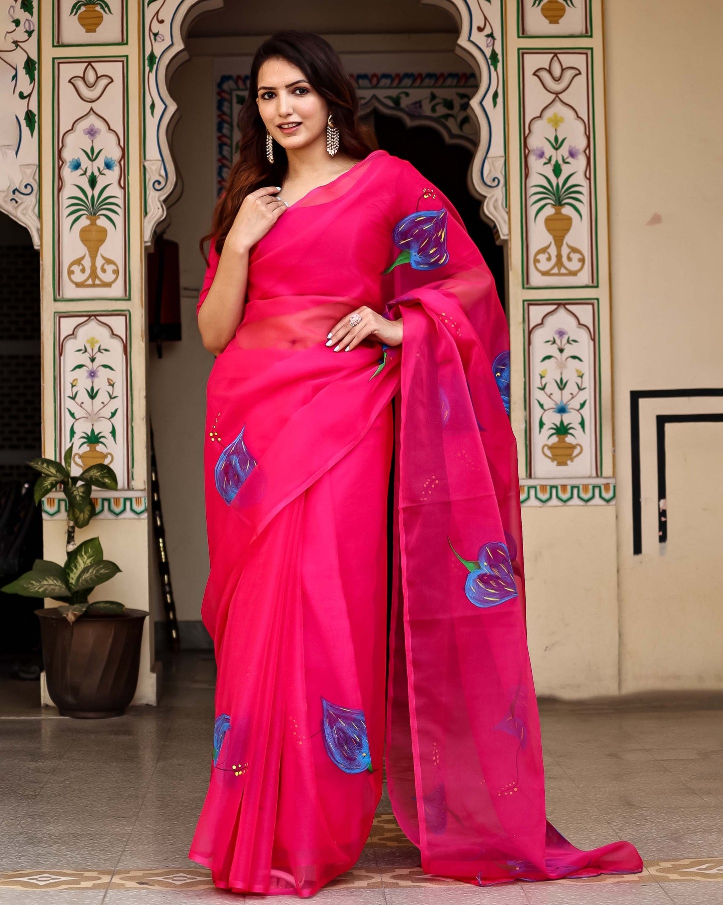SHAHZADI HAND PAINTED  ORGANZA SAREE