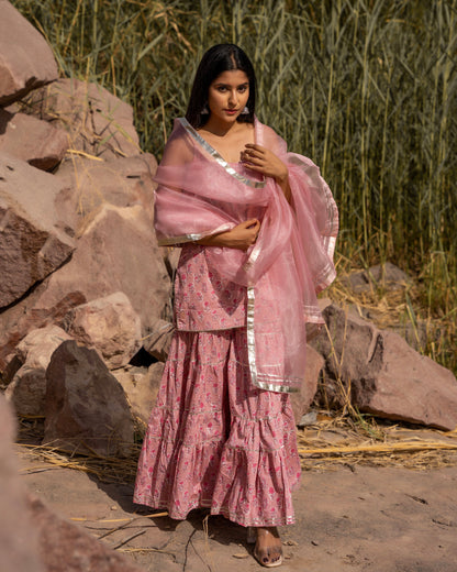 PASHA PINK SHARARA SET